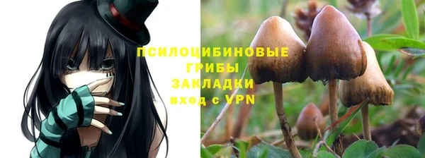 винт Алексеевка