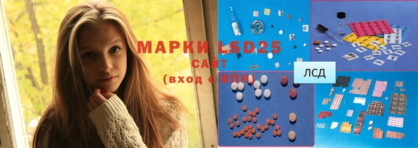 ПСИЛОЦИБИНОВЫЕ ГРИБЫ Алексин